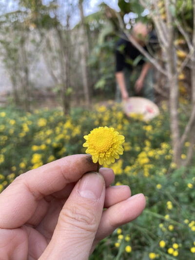 01-6