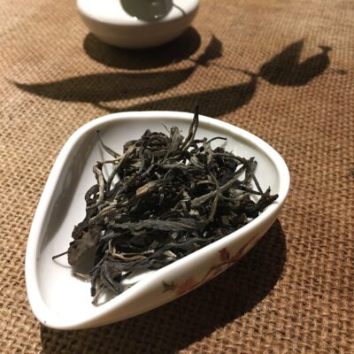 Green Puerh 2015 (Phổ Nhĩ Sống 2015)
