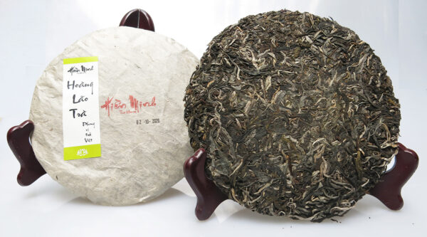 Green Puerh Autumn ( Hoàng Lão Trà Thu )